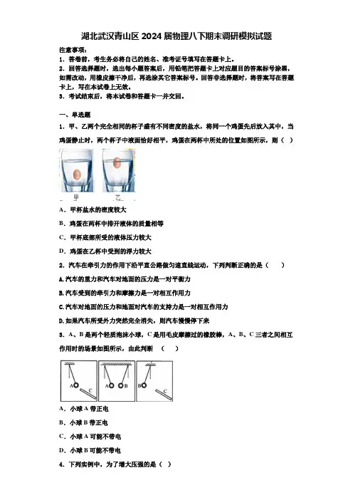 湖北武汉青山区2024届物理八下期末调研模拟试题含解析