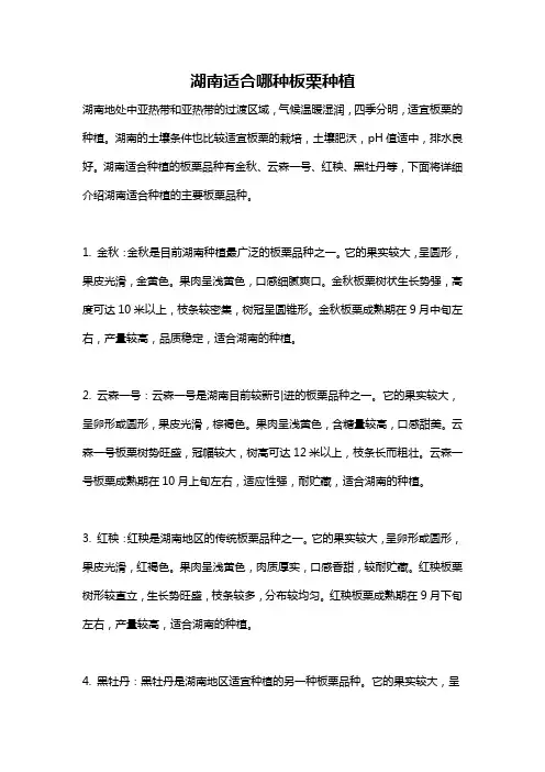 湖南适合哪种板栗种植