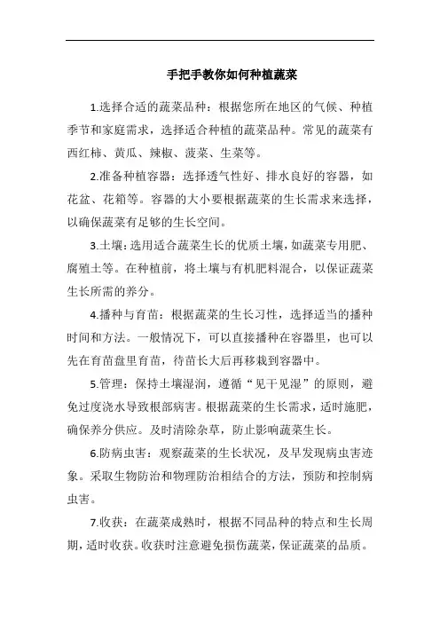 手把手教你如何种植蔬菜