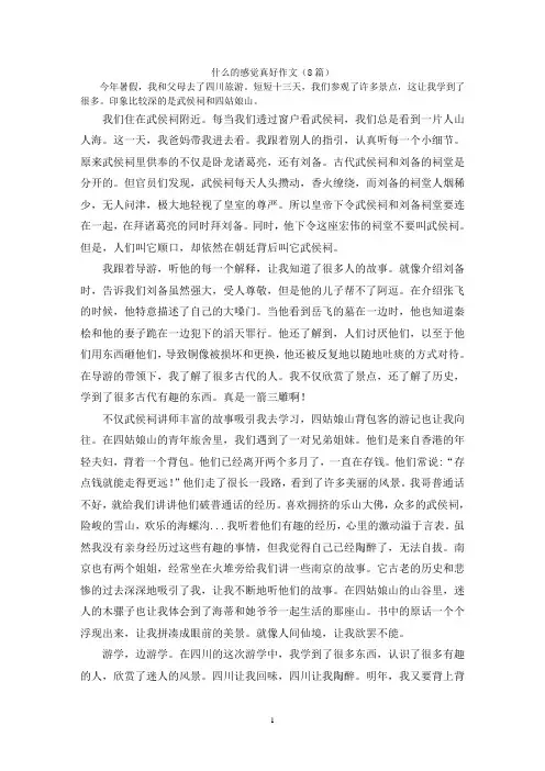什么的感觉真好作文(8篇)