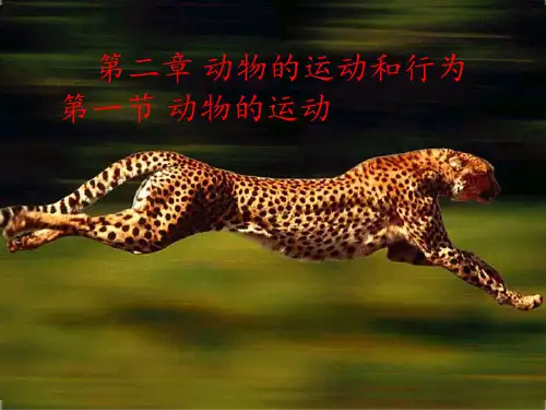 第一节《动物的运动》.PPT课件