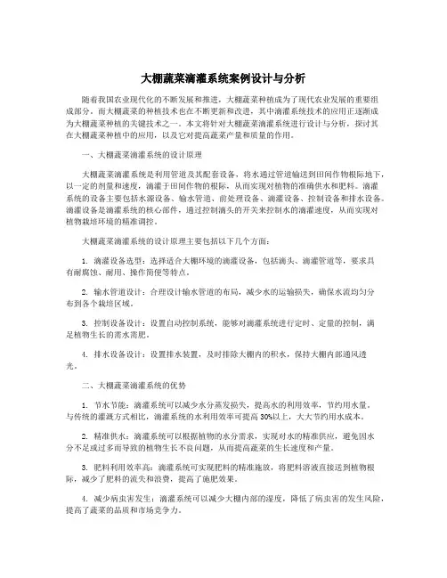大棚蔬菜滴灌系统案例设计与分析