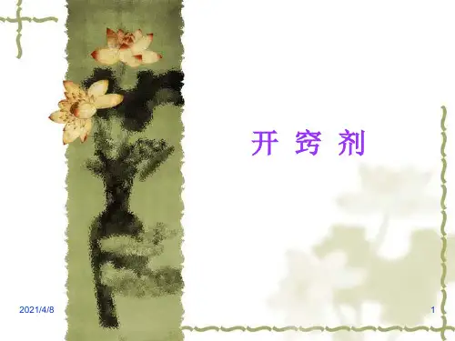 开窍剂PPT课件