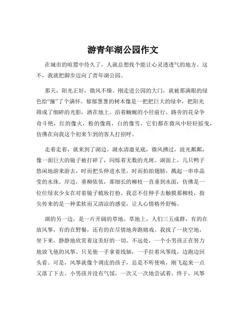 游青年湖公园作文