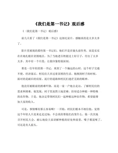 《我们是第一书记》观后感