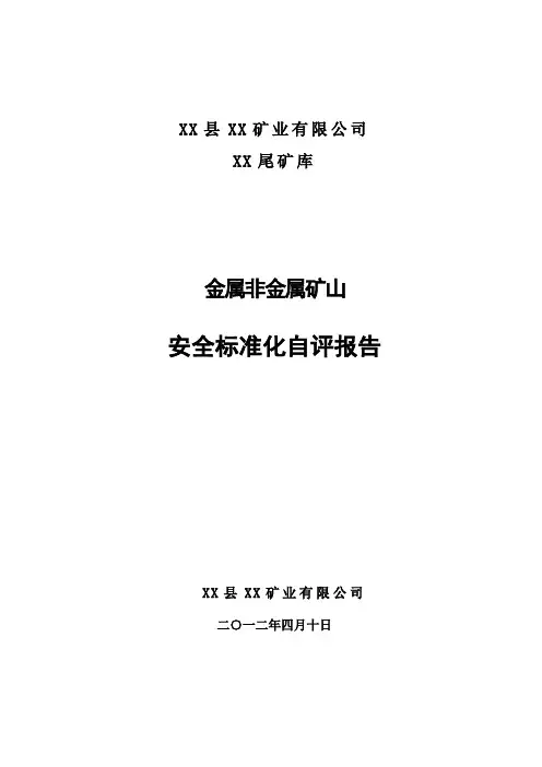 某尾矿库安全标准化自评报告 精品
