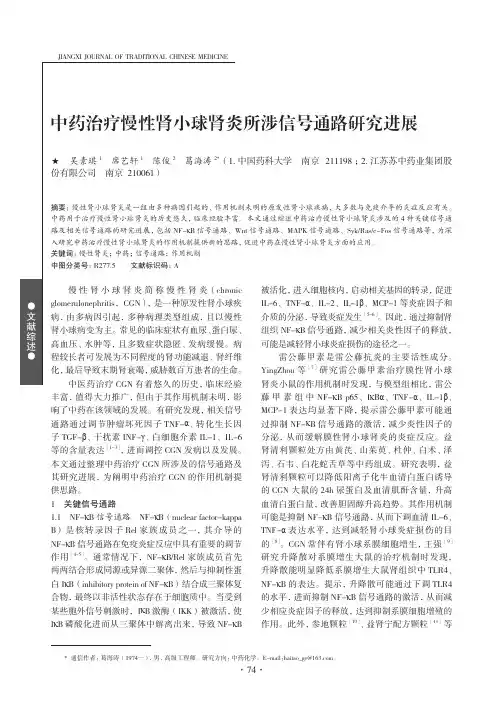 中药治疗慢性肾小球肾炎所涉信号通路研究进展