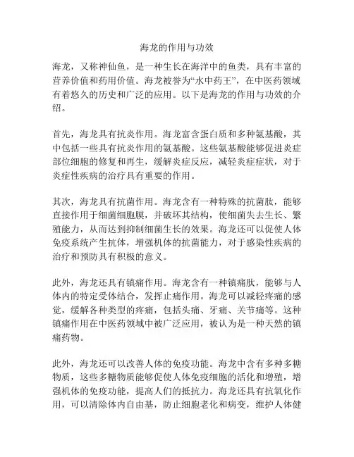 海龙的作用与功效