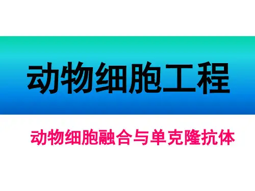 高二生物动物细胞融合和单克隆抗体1省名师优质课赛课获奖课件市赛课一等奖课件