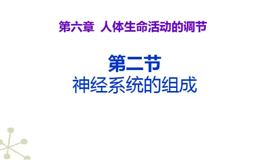 《神经系统的组成》公开课教学一等奖课件