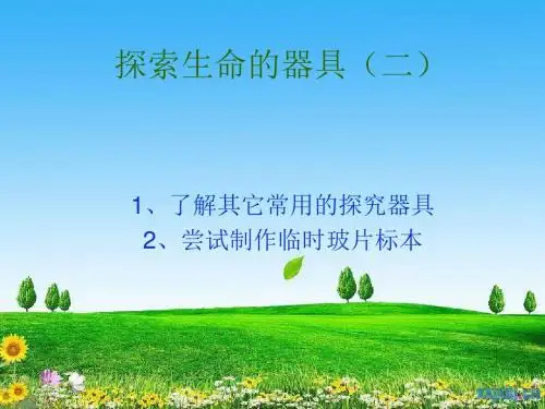 七年级上册生物探索生命的器具(二)