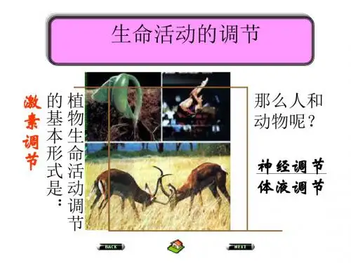 植物生命活动的调节 PPT课件15 中图版