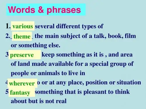 高中英语Unit 5《Theme parks》grammar 课件