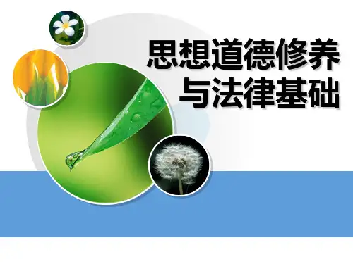 《思想道德修养与法律基础》家庭美德