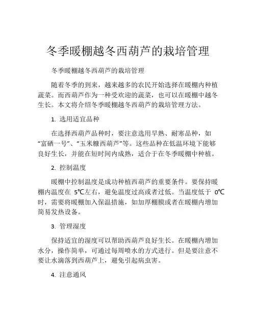 冬季暖棚越冬西葫芦的栽培管理