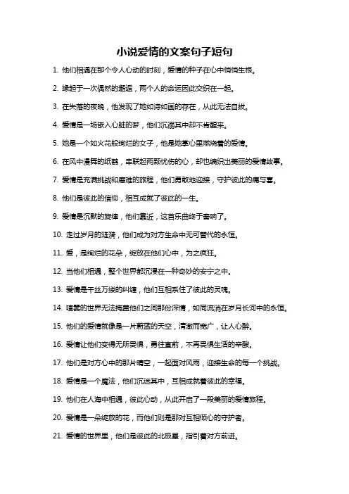 小说爱情的文案句子短句