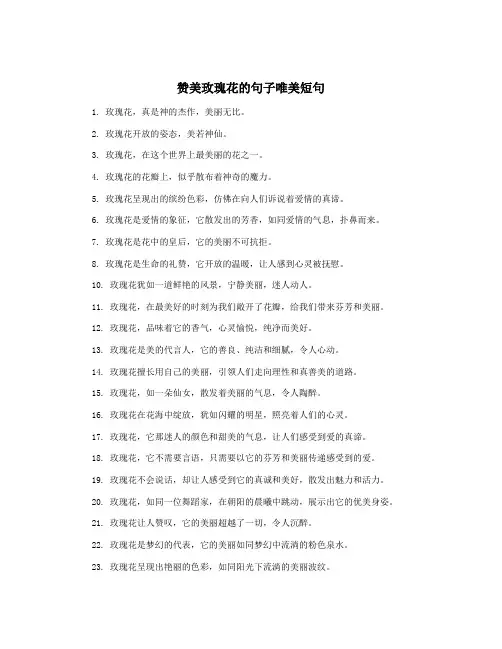 赞美玫瑰花的句子唯美短句