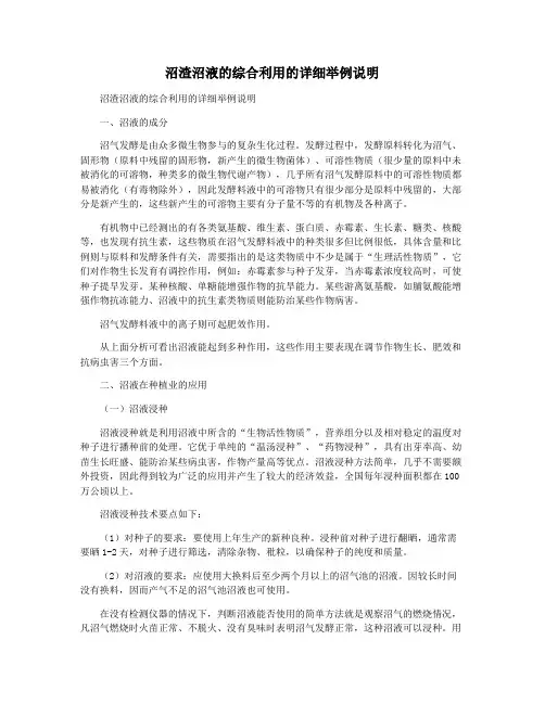 沼渣沼液的综合利用的详细举例说明