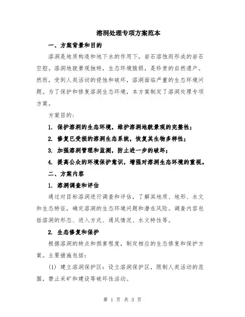 溶洞处理专项方案范本