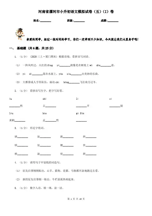 河南省漯河市小升初语文模拟试卷(五)(I)卷
