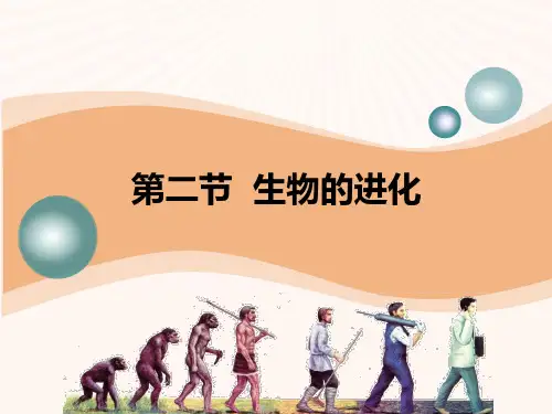 《生物的进化》课件PPT