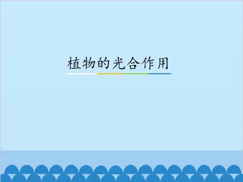 六年级上册科学课件-1.3植物的光合作用  人教版 (共38张PPT)