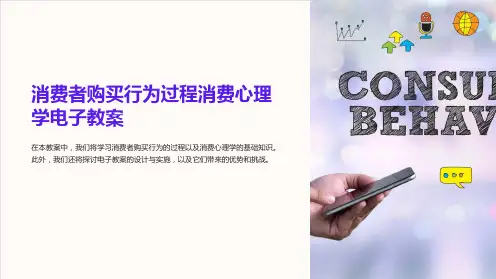 消费者购买行为过程消费心理学电子教案