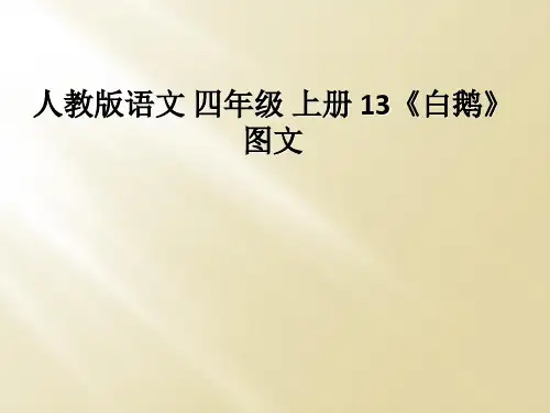 人教版语文 四年级 上册 13白鹅图文