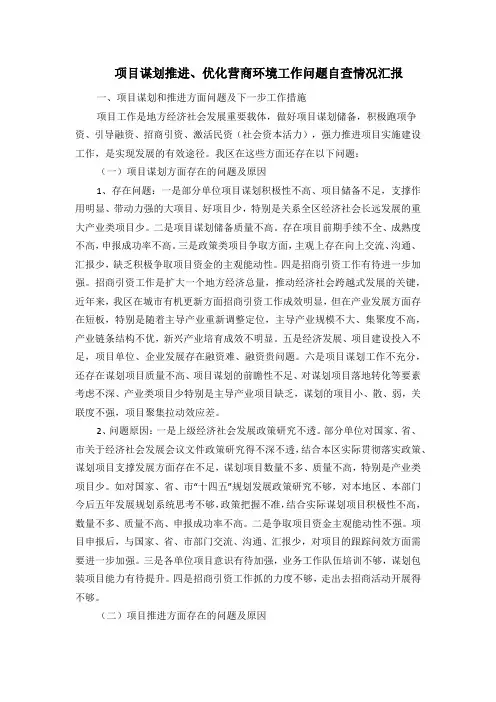 项目谋划推进、优化营商环境工作问题自查情况汇报