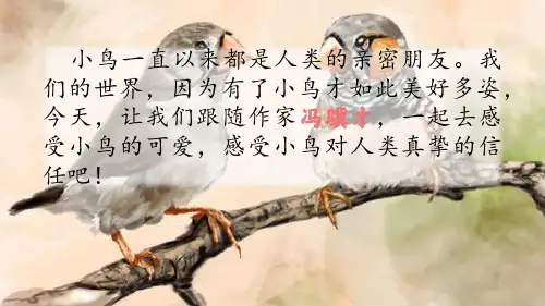 珍珠鸟(共31张PPT)