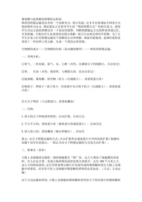 葡萄糖与氨基酸的跨膜转运机制