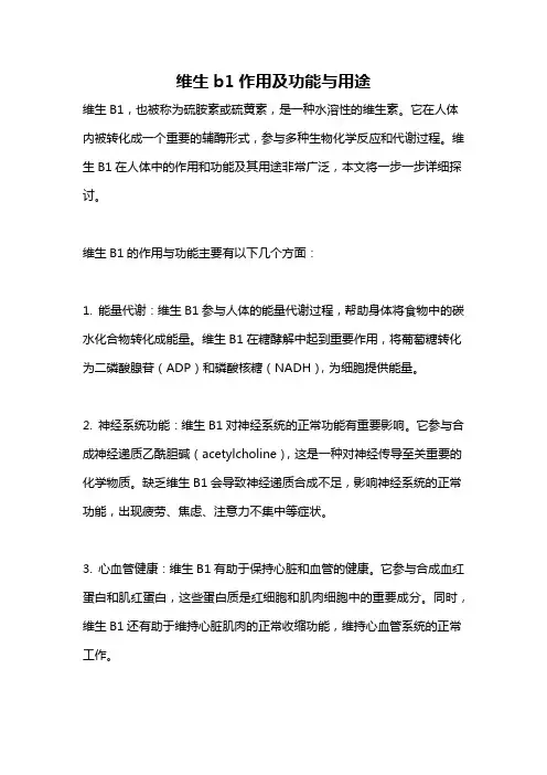 维生b1作用及功能与用途