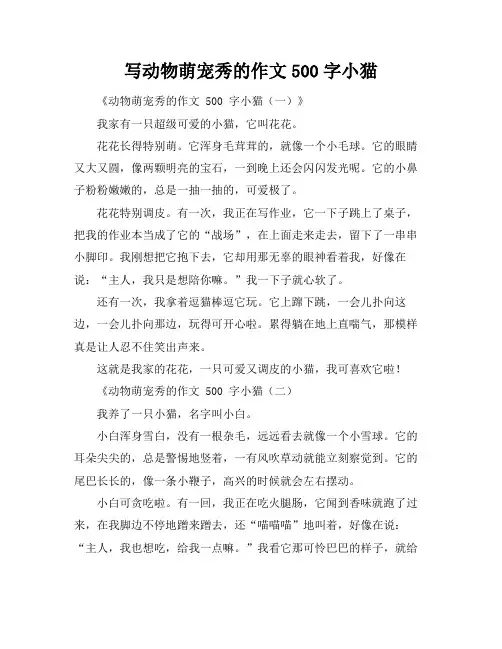 写动物萌宠秀的作文500字小猫