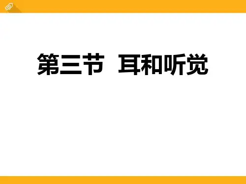 《耳和听觉》PPT课件