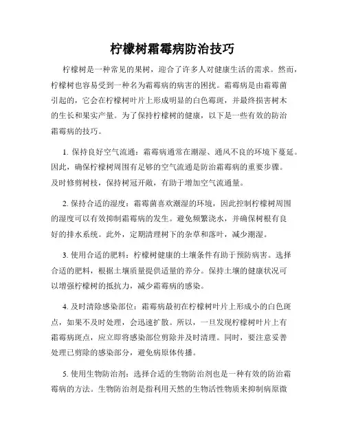 柠檬树霜霉病防治技巧