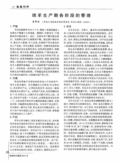 绵羊生产期各阶段的管理
