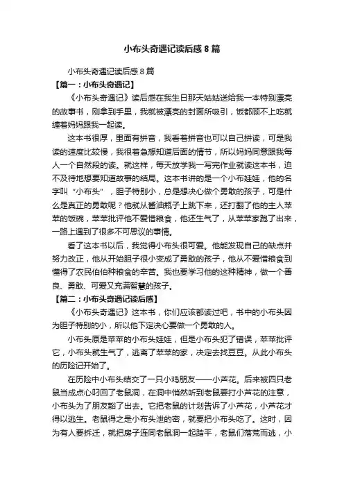 小布头奇遇记读后感8篇