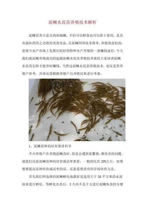 泥鳅水花苗养殖技术解析