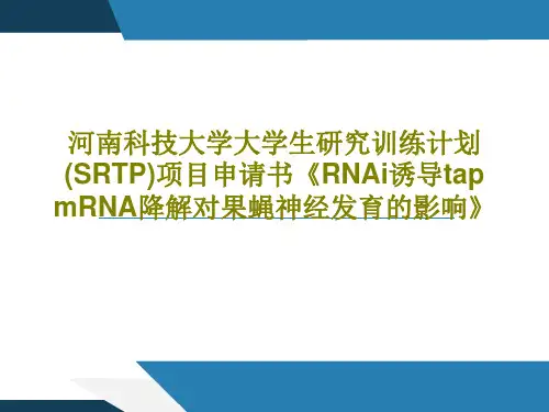 河南科技大学大学生研究训练计划(SRTP)项目申请书《RNAi诱导tap mRNA降解对果蝇神经发育