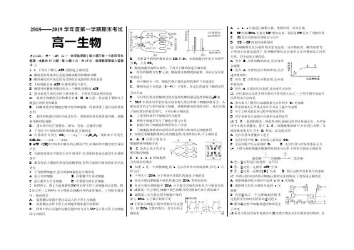 江西省2018-2019学年景德镇一中高一上学期期末考试生物试题