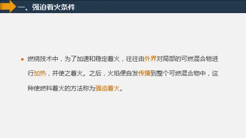 工程燃烧学工程燃烧学19