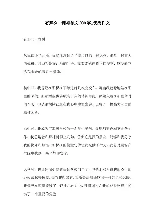 有那么一棵树作文800字优秀作文