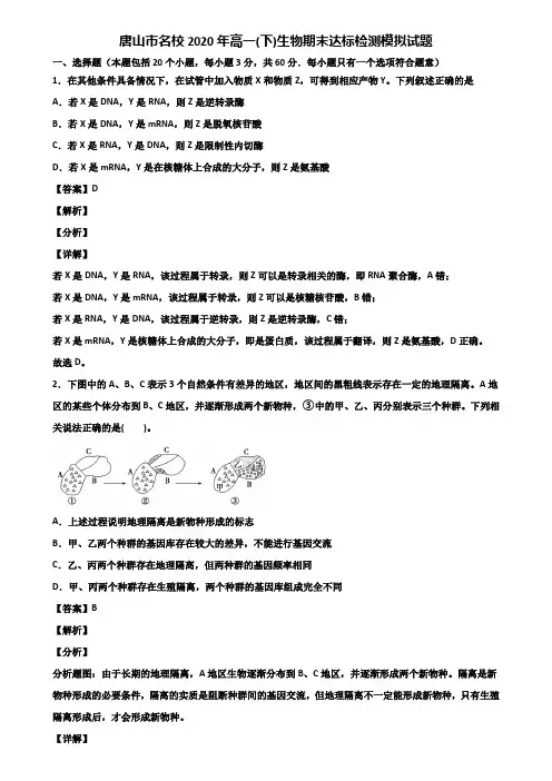 唐山市名校2020年高一(下)生物期末达标检测模拟试题含解析