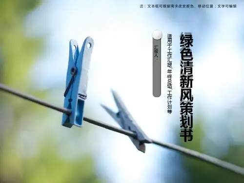 清新简约创意ins风PPT模板