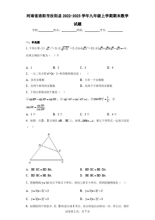 河南省洛阳市汝阳县2022-2023学年九年级上学期期末数学试题