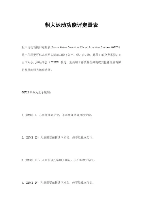 粗大运动功能评定量表