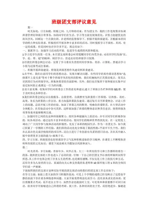 班级团支部评议意见