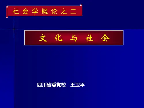 社会学文化与社会