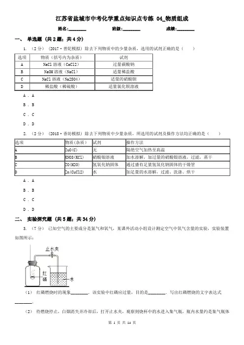 江苏省盐城市中考化学重点知识点专练 04_物质组成