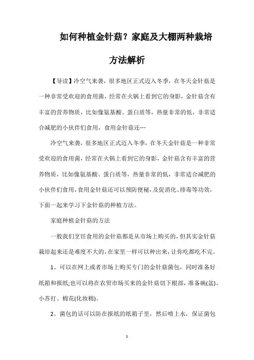 如何种植金针菇？家庭及大棚两种栽培方法解析